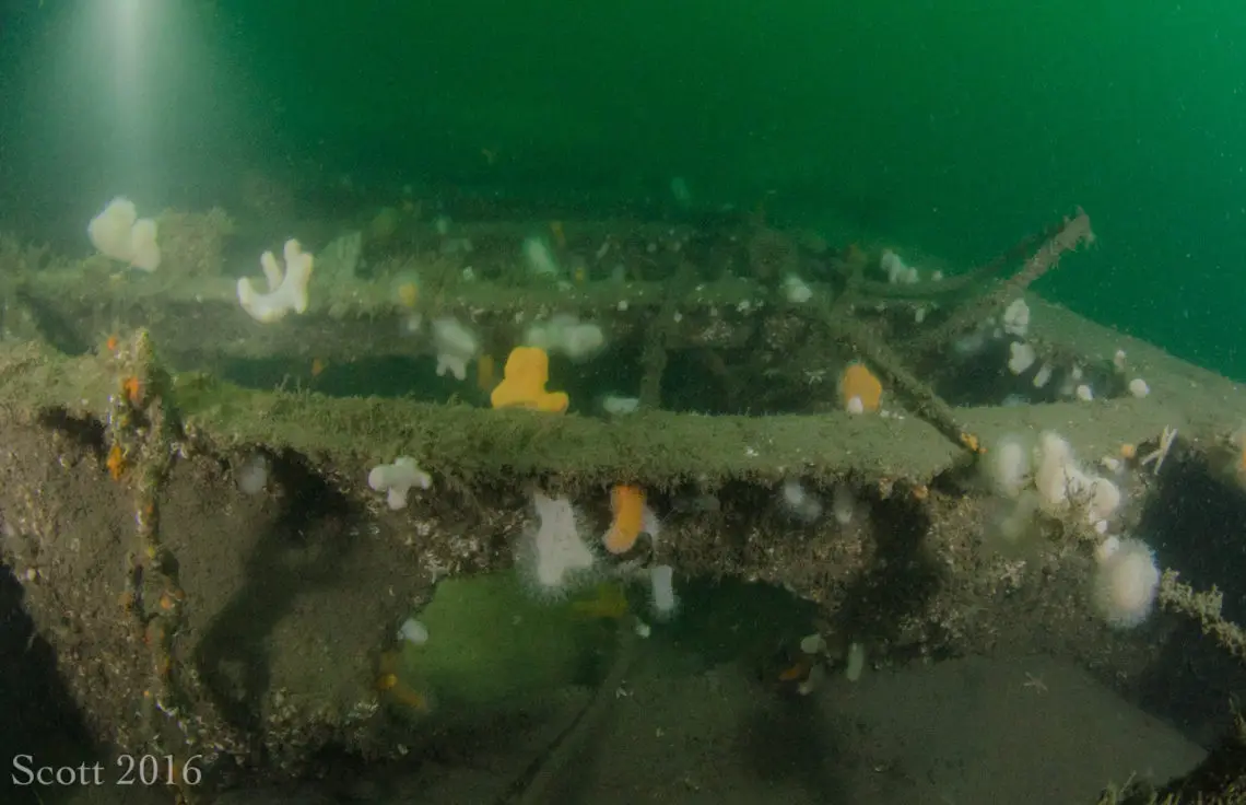  Arizona Wreck Firth of the Forth