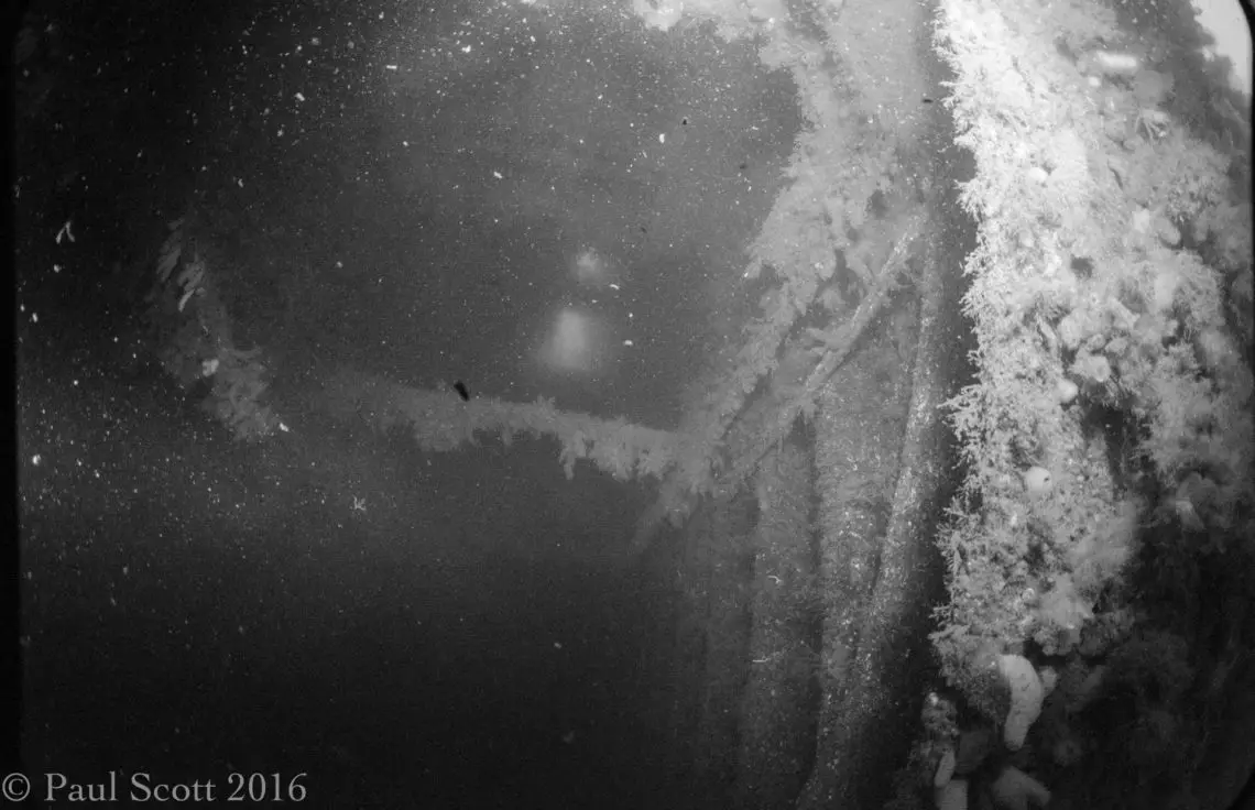 Stern of the Port Napier - Mine layer 