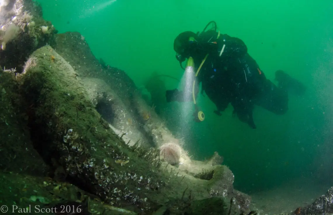  Arizona Wreck 