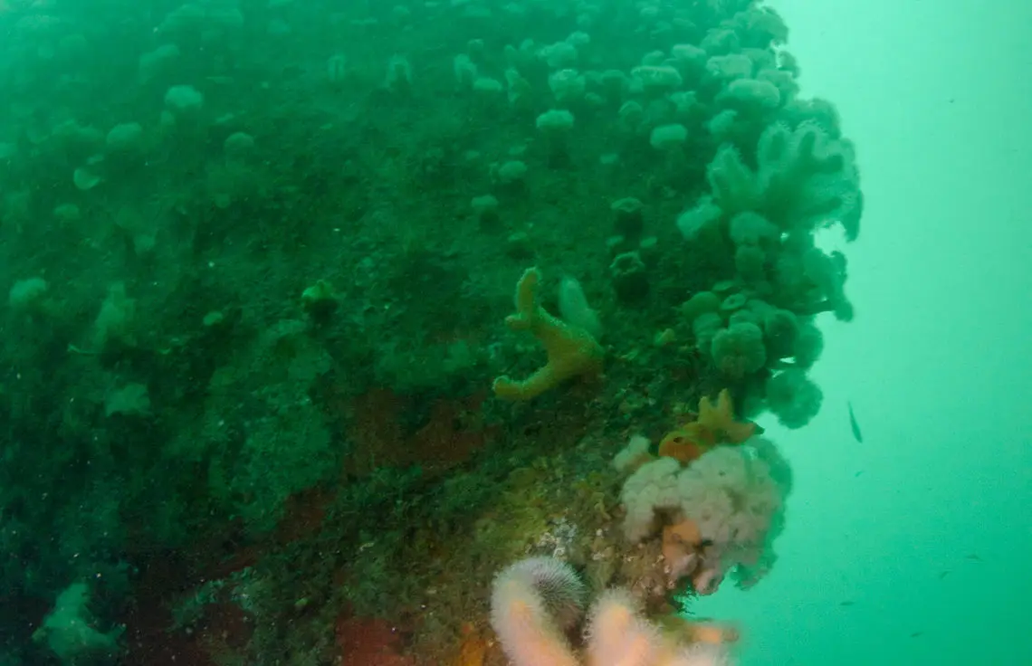 Bow of the Fairweather Five