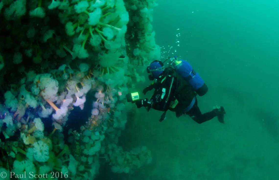 Fairweather Five Wreck 