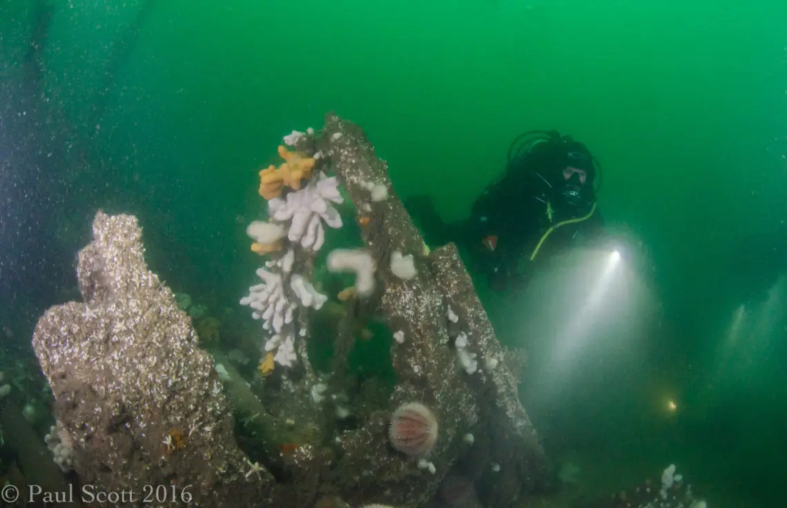 Arizona Wreck