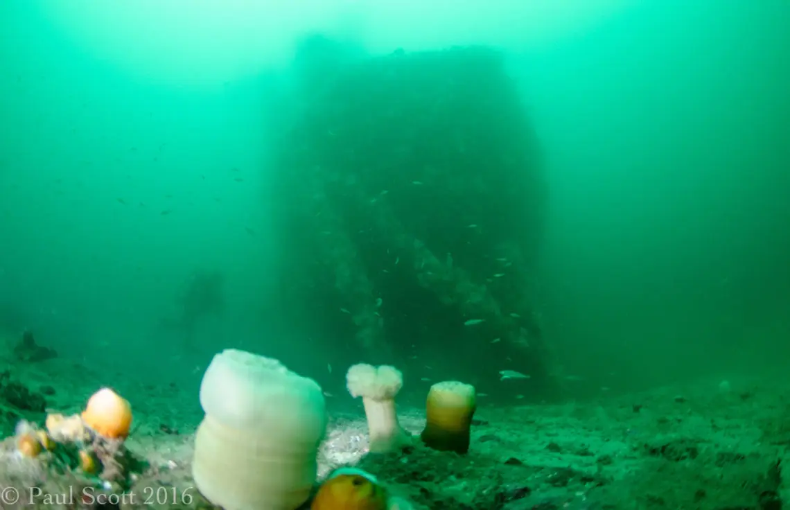 Stern of the Fairweather Five