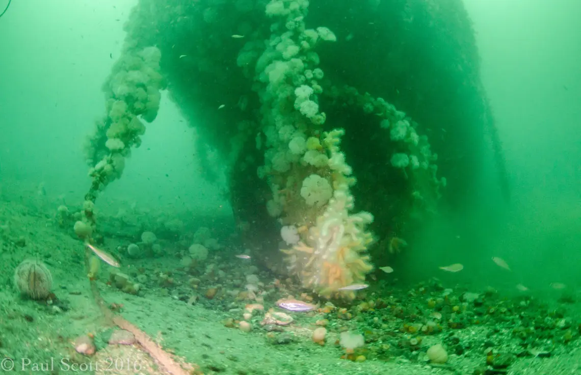 Stern of the Fairweather Five