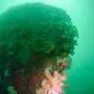 Bow of the Fairweather Five