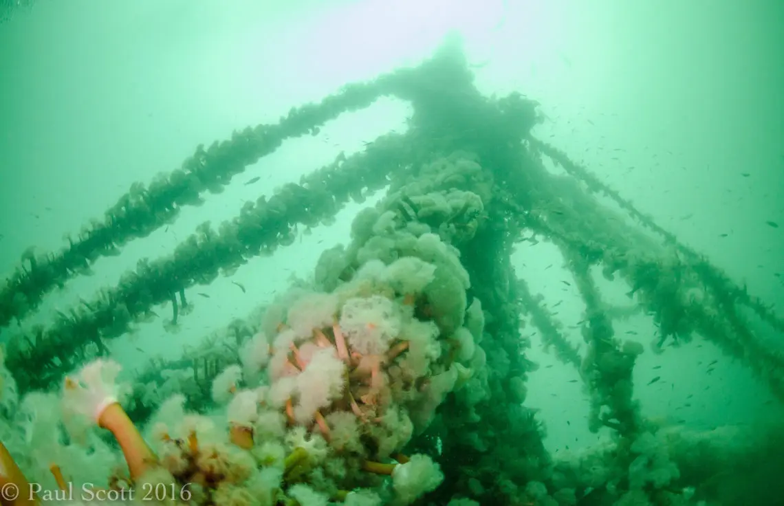 Mast of the Fairweather Five