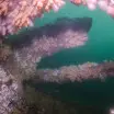 Rudder of the Chadwick Wreck