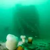 Stern of the Fairweather Five